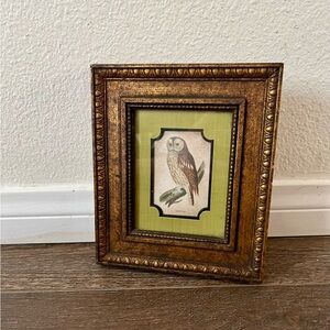 Vintage Gold Framed Owl Art for Bird Lovers